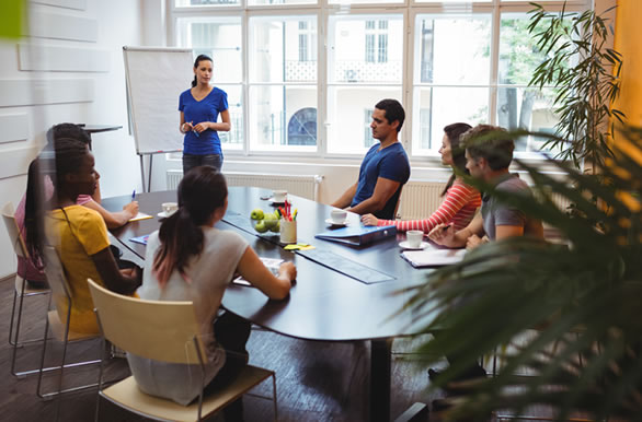 Our team includes skilled designers, developers, and strategists with extensive industry experience.